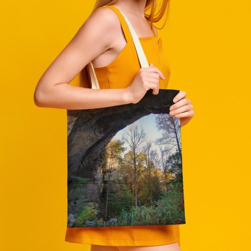 yanfind Great Martin Canvas Tote Bag Double Cave Plant Vegetation Outdoors Natural Arch Scenic Area Parkers Lake Ky Usa white-style1 38×41cm
