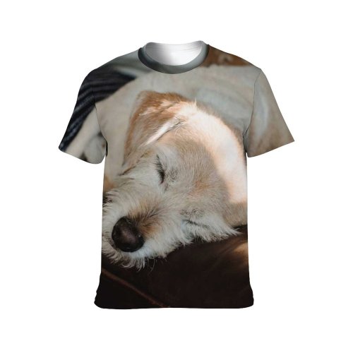 yanfind Adult Full Print T-shirts (men And Women) Adorable Anonymous Apartment Asleep Blurred Calm Casual Chill Comfort Couch Cozy