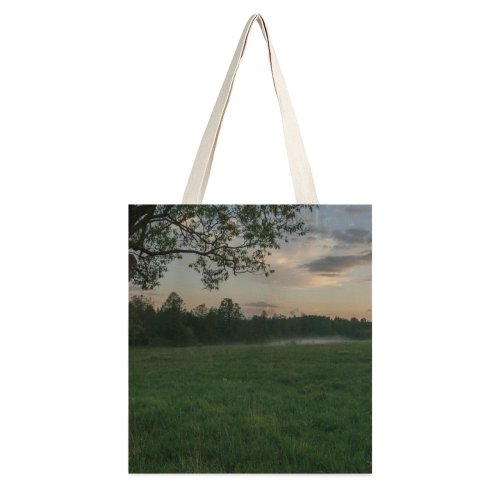 yanfind Great Martin Canvas Tote Bag Double Field Grassland Outdoors Countryside Farm Rural Meadow Pasture Grass Plant Tree Land white-style1 38×41cm