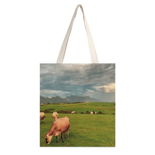 yanfind Great Martin Canvas Tote Bag Double Field Cattle Cow Grassland Outdoors Countryside Farm Rural Grazing Meadow Pasture Ranch white-style1 38×41cm
