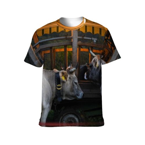 yanfind Adult Full Print T-shirts (men And Women) Agriculture Farm Grass Milk Portrait Outdoors Bull Cow Rural Calf Barn Pasture