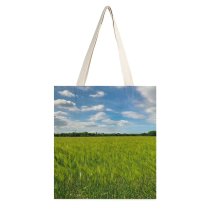 yanfind Great Martin Canvas Tote Bag Double Field Grassland Outdoors Countryside Paddy Plant Vegetation Sky Azure Land Creative Commons white-style1 38×41cm