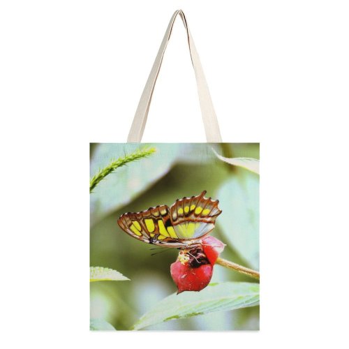 yanfind Great Martin Canvas Tote Bag Double Butterfly Insect Invertebrate Plant Forest Mariposa Monarch Photo Leaf white-style1 38×41cm