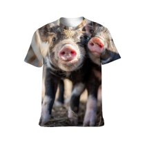 yanfind Adult Full Print T-shirts (men And Women) Agriculture Portrait Barn Little Hay