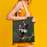 yanfind Great Martin Canvas Tote Bag Double Butterfly Budars Odvas white-style1 38×41cm