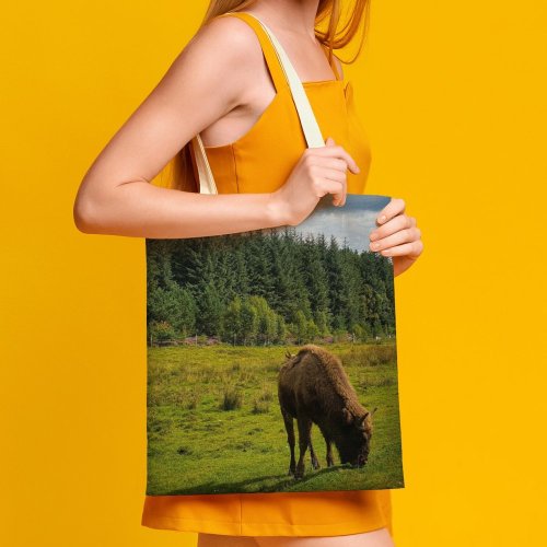 yanfind Great Martin Canvas Tote Bag Double Field Grassland Outdoors Cattle Cow Abies Fir Plant Tree Countryside Farm Meadow white-style1 38×41cm