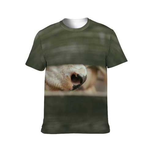 yanfind Adult Full Print T-shirts (men And Women) Agriculture Beef Bovine Bull Cattle Cow Face Dairy Detail Farm Farming Fence