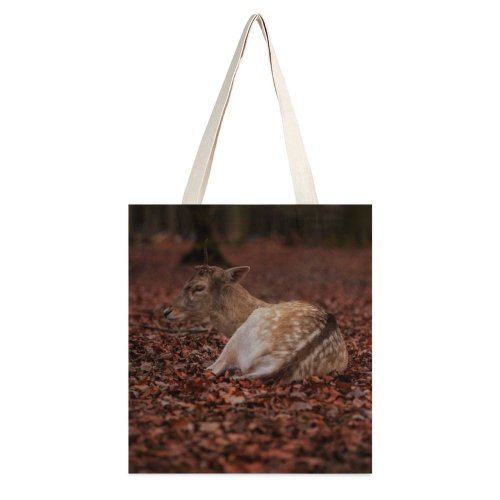yanfind Great Martin Canvas Tote Bag Double Deer Dünnwald Kln Wildlife Leaves Sat Forest Wilderness Tree Wildness white-style1 38×41cm