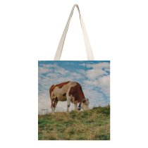 yanfind Great Martin Canvas Tote Bag Double Cow Cattle Field Grassland Outdoors Countryside Rural Farm Pasture Ranch Grazing Grass white-style1 38×41cm