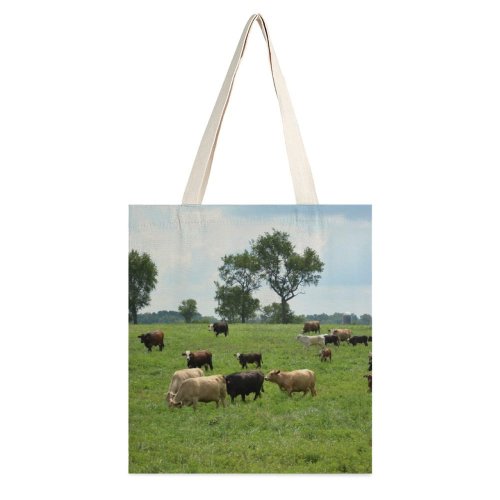 yanfind Great Martin Canvas Tote Bag Double Cow Cattle Grassland Field Outdoors Countryside Farm Rural Pasture Ranch Meadow Sheep white-style1 38×41cm