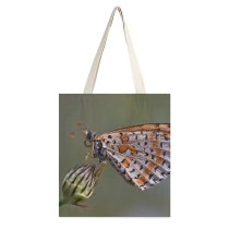 yanfind Great Martin Canvas Tote Bag Double Butterfly Insect Invertebrate Plant Flower Birds white-style1 38×41cm