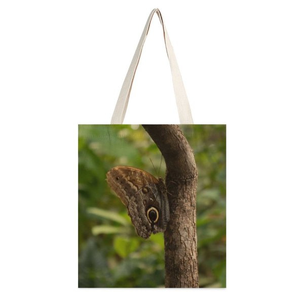 yanfind Great Martin Canvas Tote Bag Double Butterfly Lizard Reptile Insect Invertebrate Plant Tree Moth Trunk Public Domain white-style1 38×41cm