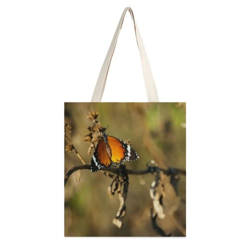 yanfind Great Martin Canvas Tote Bag Double Butterfly Insect Africa Invertebrate Monarch Kwazulu white-style1 38×41cm