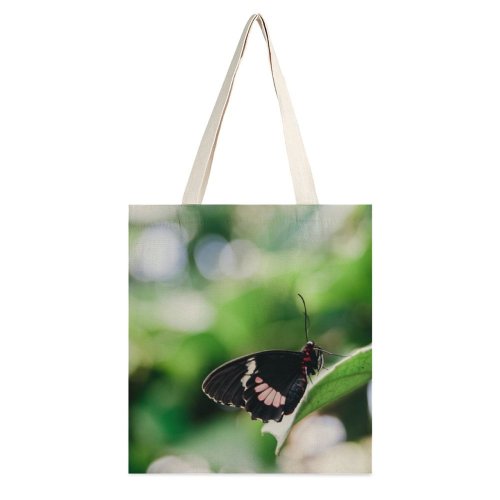 yanfind Great Martin Canvas Tote Bag Double Butterfly Insect Invertebrate Bee Honey Sweden Moth Creative Commons white-style1 38×41cm