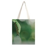 yanfind Great Martin Canvas Tote Bag Double Bokeh Insect Plant Caterpillar Leaf Grey Wildlife Stripes Butterfly white-style1 38×41cm
