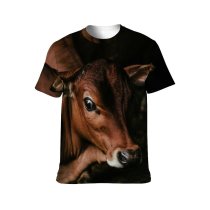 yanfind Adult Full Print T-shirts (men And Women) Agriculture Farm Grass Milk Portrait Bull Cow Baby Calf Barn Hay Cattle