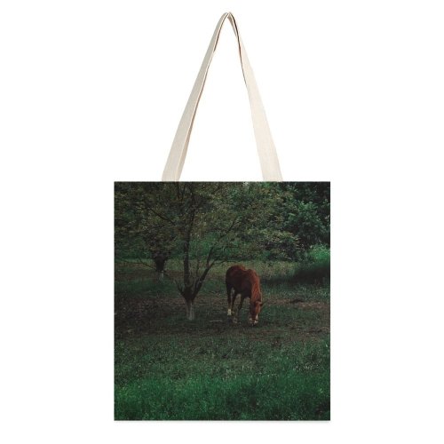 yanfind Great Martin Canvas Tote Bag Double Field Grassland Outdoors Horse Countryside Farm Rural Grazing Meadow Pasture Ranch Tree white-style1 38×41cm