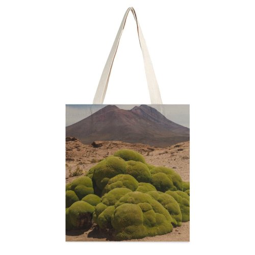 yanfind Great Martin Canvas Tote Bag Double Field Grassland Outdoors Plant Mound Ground white-style1 38×41cm