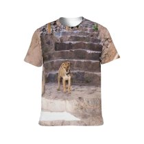 yanfind Adult Full Print T-shirts (men And Women) Aged Architecture Building Calm City Cobblestone Space Curious Cute District Dog Exterior