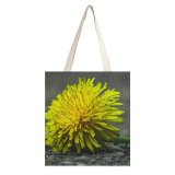 yanfind Great Martin Canvas Tote Bag Double Flower Plant Dandelion Spring Beauty Bloom Close white-style1 38×41cm