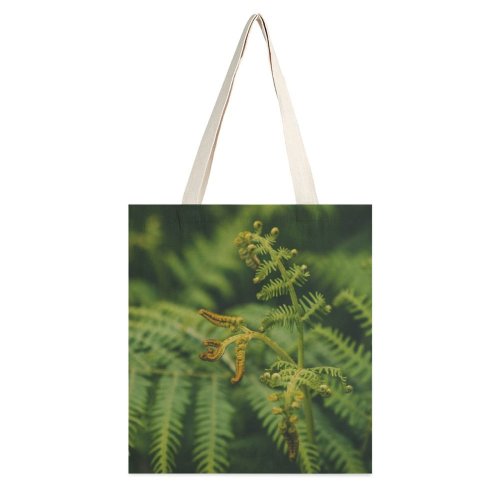 yanfind Great Martin Canvas Tote Bag Double Plant Tree Flora Conifer Stem Leaves Leaf Spruce Texture Bracken Living white-style1 38×41cm