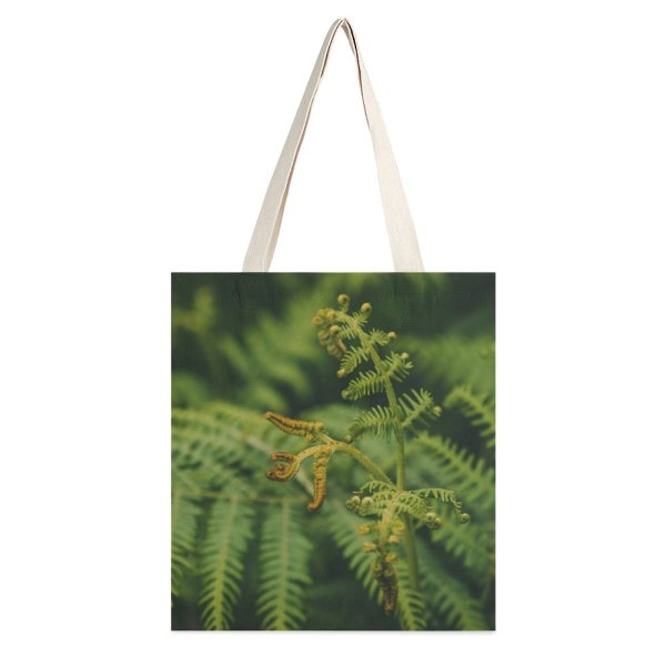 yanfind Great Martin Canvas Tote Bag Double Plant Tree Flora Conifer Stem Leaves Leaf Spruce Texture Bracken Living white-style1 38×41cm