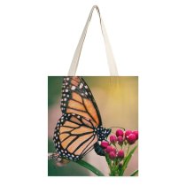 yanfind Great Martin Canvas Tote Bag Double Butterfly Insect Invertebrate Monarch Birds Photo white-style1 38×41cm