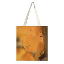yanfind Great Martin Canvas Tote Bag Double Brighton Resort United States Tree Leafe Aspen Leaf Fall Autumn Leaves Bark white-style1 38×41cm
