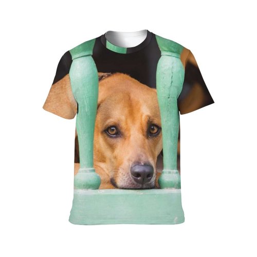 yanfind Adult Full Print T-shirts (men And Women) Adorable Aged Architecture Bar Blurred Calm Charming Chill Chordate Contemplate Contemplative