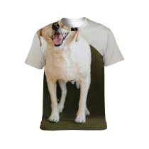 yanfind Adult Full Print T-shirts (men And Women) Adorable Portrait Canidae Chair Cute Dog Face Human's Friend Camera