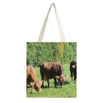 yanfind Great Martin Canvas Tote Bag Double Cattle Cow Field Grassland Outdoors Countryside Farm Rural Bull Meadow Pasture Ranch white-style1 38×41cm