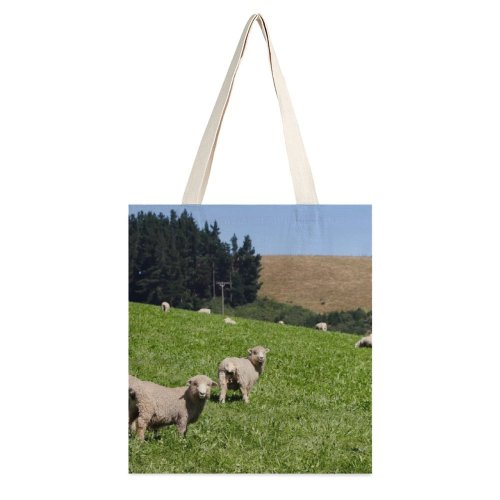 yanfind Great Martin Canvas Tote Bag Double Field Grassland Outdoors Countryside Farm Rural Meadow Pasture Ranch Grazing Sheep Zealand white-style1 38×41cm