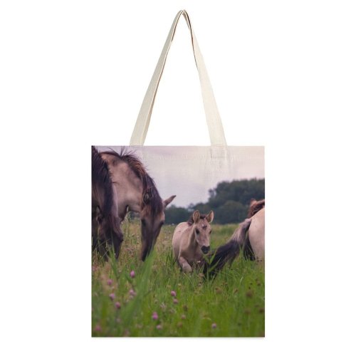 yanfind Great Martin Canvas Tote Bag Double Field Grassland Outdoors Horse Countryside Farm Rural Meadow Pasture Grazing Ranch Colt white-style1 38×41cm