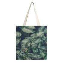yanfind Great Martin Canvas Tote Bag Double Chicago Plant Grey United States Leafe Leaf Striated Flower Growing Layer Stripes white-style1 38×41cm