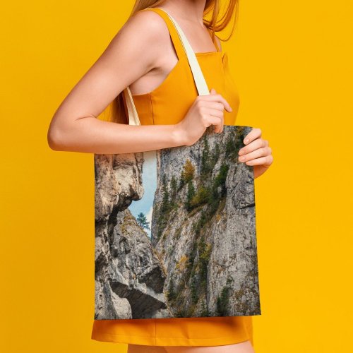 yanfind Great Martin Canvas Tote Bag Double Cliff Outdoors Plant Tree Rock white-style1 38×41cm