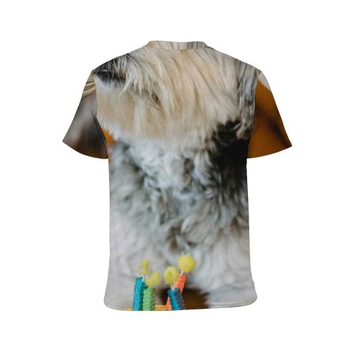 yanfind Adult Full Print T-shirts (men And Women) Adorable Armchair Attention Birthday Cake Celebrate Comfort Congratulate Cozy Creature Dog