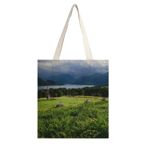 yanfind Great Martin Canvas Tote Bag Double Field Outdoors Grassland Gowbarrow Fell Uk Countryside Farm Rural Meadow Bench Furniture white-style1 38×41cm