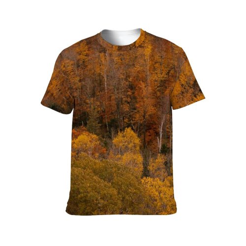 yanfind Adult Full Print T-shirts (men And Women) Aerial Area Autumn Breathtaking Calm Colorful Deciduous Drone Fall Flora Foliage Forest