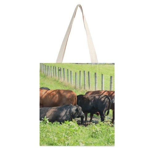 yanfind Great Martin Canvas Tote Bag Double Cattle Cow Grassland Field Outdoors Bull Angus Countryside Farm Rural Meadow Pasture white-style1 38×41cm