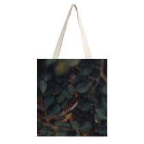 yanfind Great Martin Canvas Tote Bag Double Butterfly Insect Invertebrate Monarch Unsplash Public Domain white-style1 38×41cm
