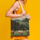 yanfind Great Martin Canvas Tote Bag Double Cow Cattle Grassland Field Outdoors Countryside Farm Rural Meadow Pasture Ranch Grazing white-style1 38×41cm