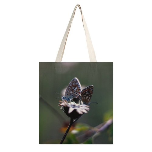 yanfind Great Martin Canvas Tote Bag Double Butterfly Budars Odvas white-style1 38×41cm