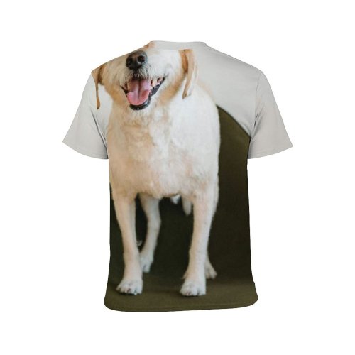 yanfind Adult Full Print T-shirts (men And Women) Adorable Portrait Canidae Chair Cute Dog Face Human's Friend Camera