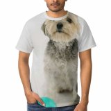 yanfind Adult Full Print T-shirts (men And Women) Adorable Ball Balloon Birthday Calm Carefree Celebrate Colorful Comfort Curious