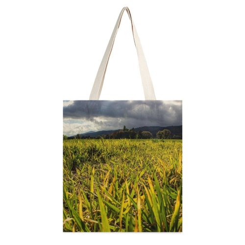 yanfind Great Martin Canvas Tote Bag Double Field Grassland Outdoors Grass Plant Countryside Bielawa Polska Farm Meadow Rural white-style1 38×41cm