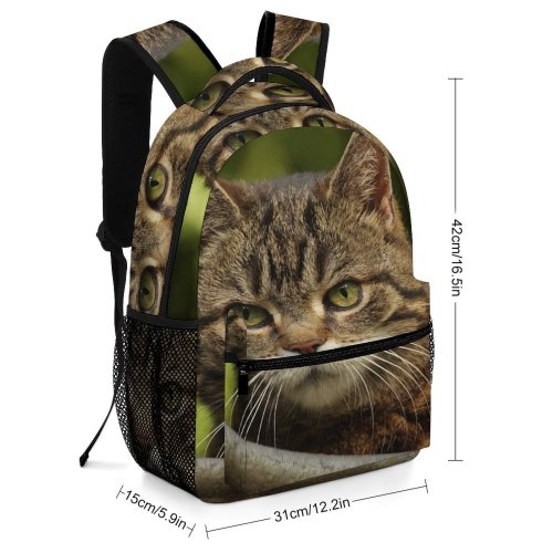 yanfind Children's Backpack Funny Curiosity Outdoors Cute Little Young  Portrait Staring Kitten Whisker Fur Preschool Nursery Travel Bag
