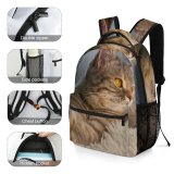 yanfind Children's Backpack Lazy Young Stripe Funny Family Kitten Portrait Curiosity Cute Little Sleep Cat Preschool Nursery Travel Bag