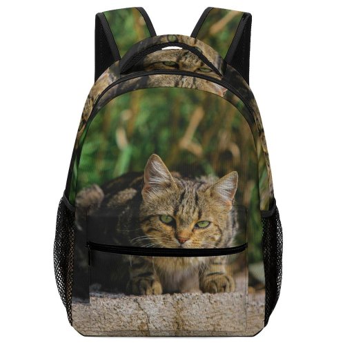 yanfind Children's Backpack Young Grass Pet Funny Outdoors Kitten Portrait Wildlife Cute Little Staring Cat Preschool Nursery Travel Bag