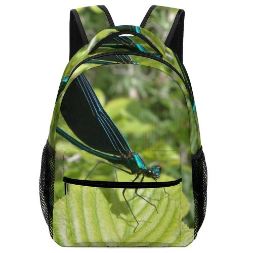 yanfind Children's Backpack Bug Insect Plitvice Shiny Eyes Big Fly Leaf Plant Damselfly Dragonflies Preschool Nursery Travel Bag