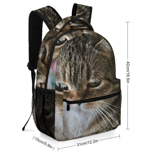 yanfind Children's Backpack Young Pet Kitten Portrait Tabby Cute Little Staring Sit Sleep Cat Preschool Nursery Travel Bag
